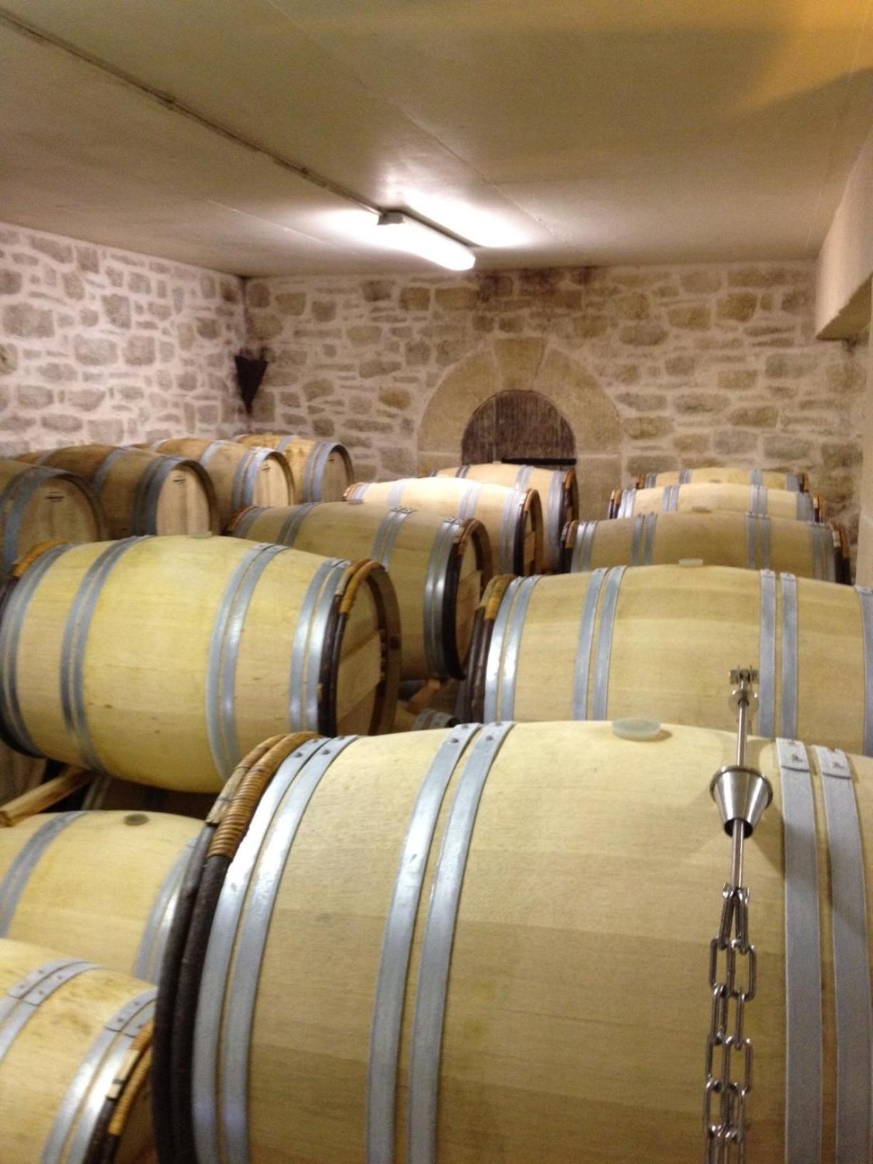 Saint-Jean-de-Fos Chateau De Valloubiere المظهر الخارجي الصورة
