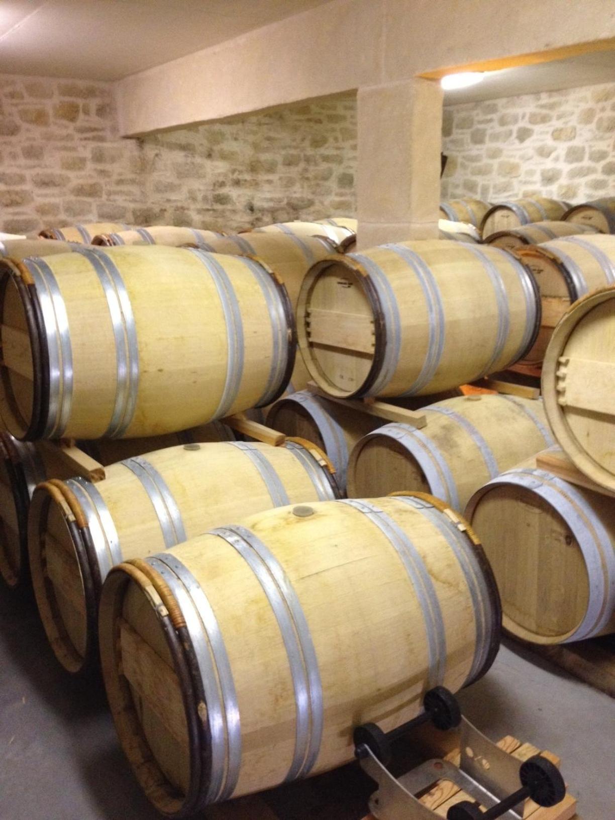 Saint-Jean-de-Fos Chateau De Valloubiere المظهر الخارجي الصورة