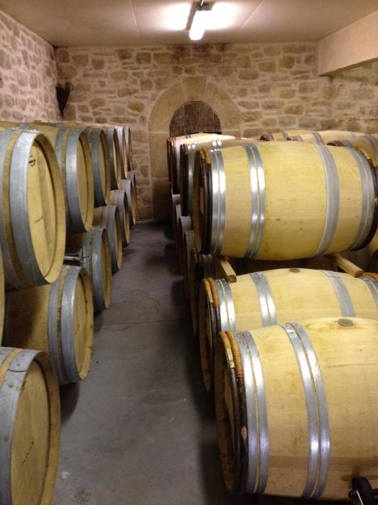 Saint-Jean-de-Fos Chateau De Valloubiere المظهر الخارجي الصورة