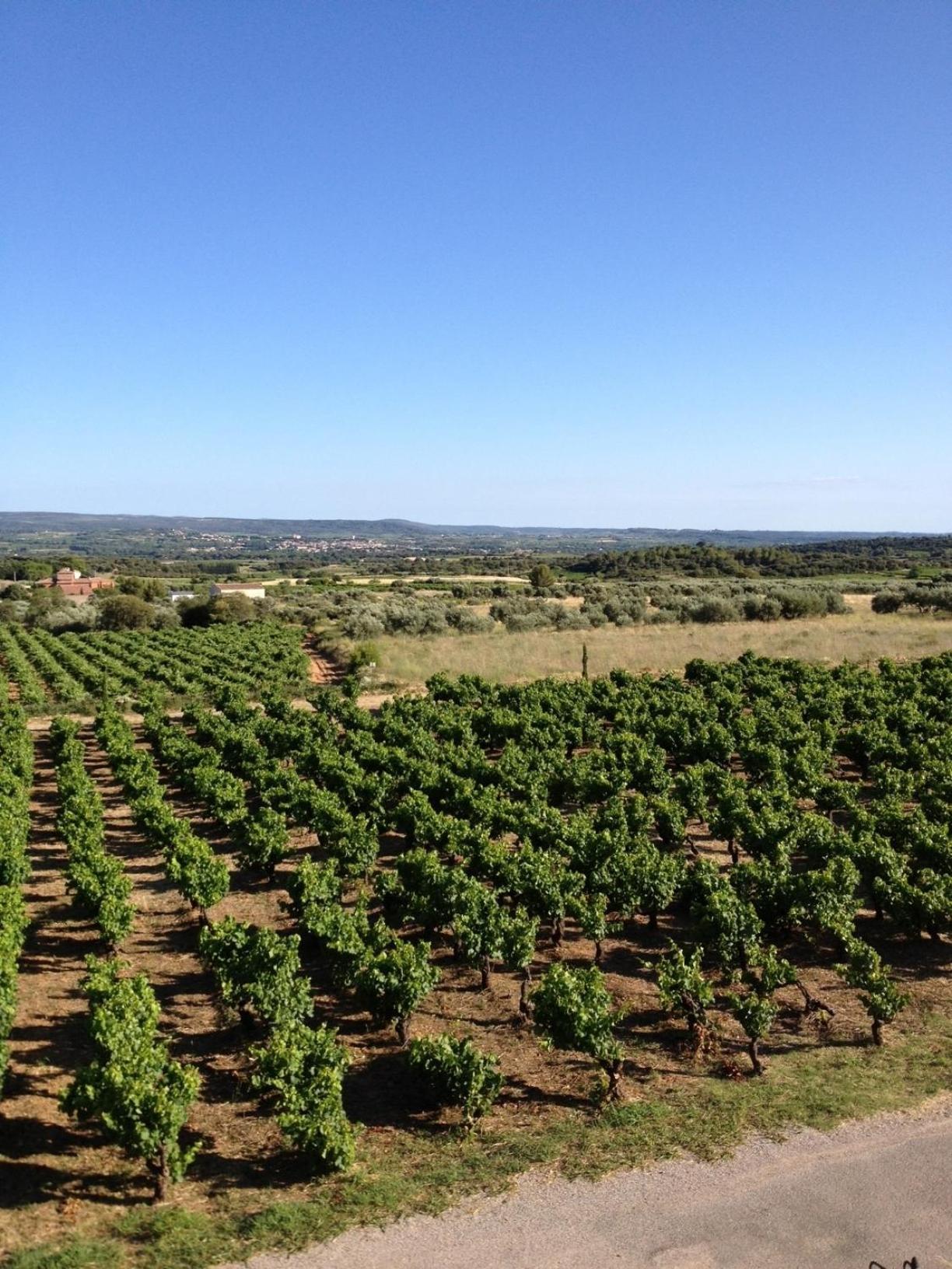 Saint-Jean-de-Fos Chateau De Valloubiere المظهر الخارجي الصورة