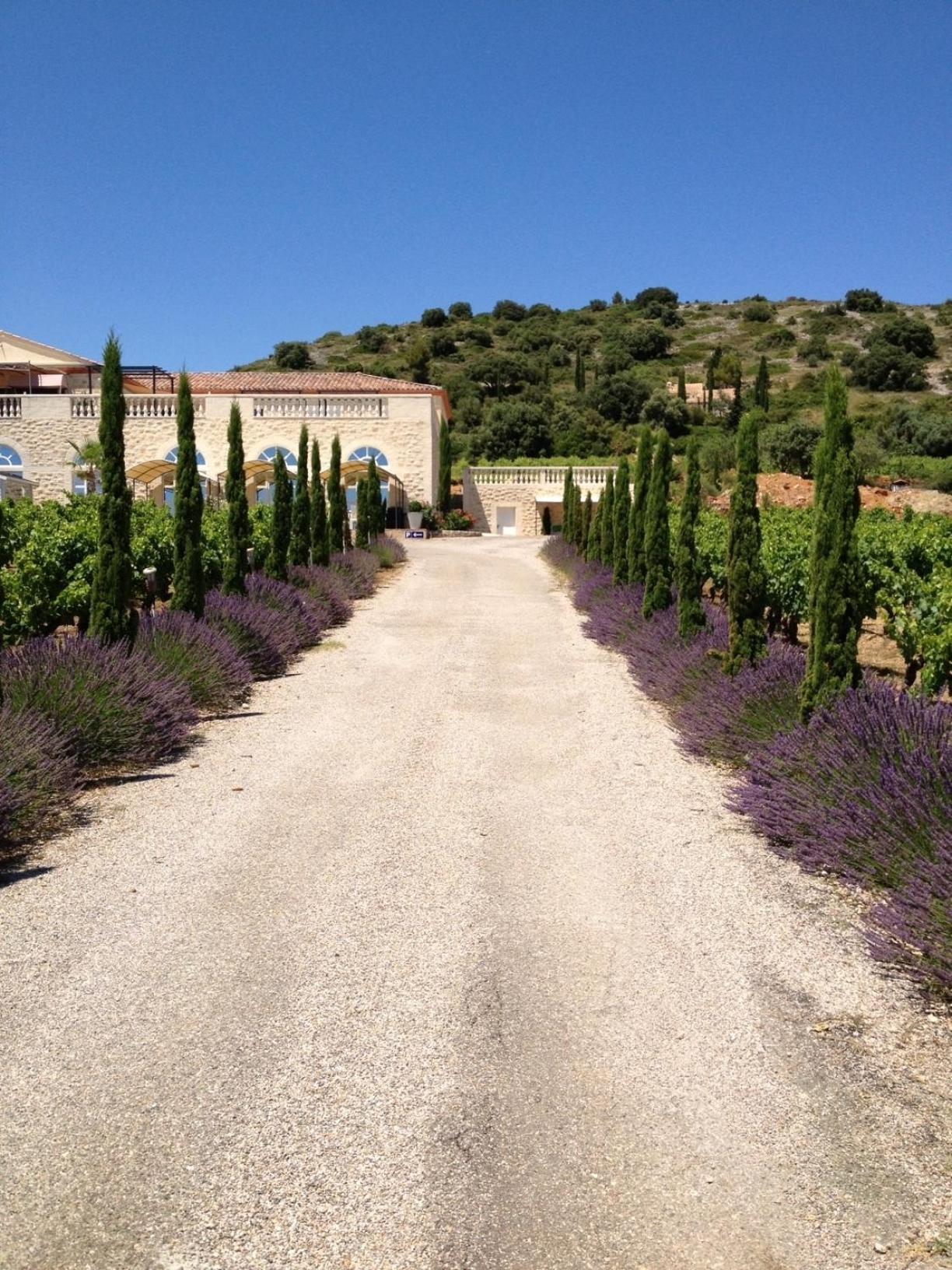 Saint-Jean-de-Fos Chateau De Valloubiere المظهر الخارجي الصورة
