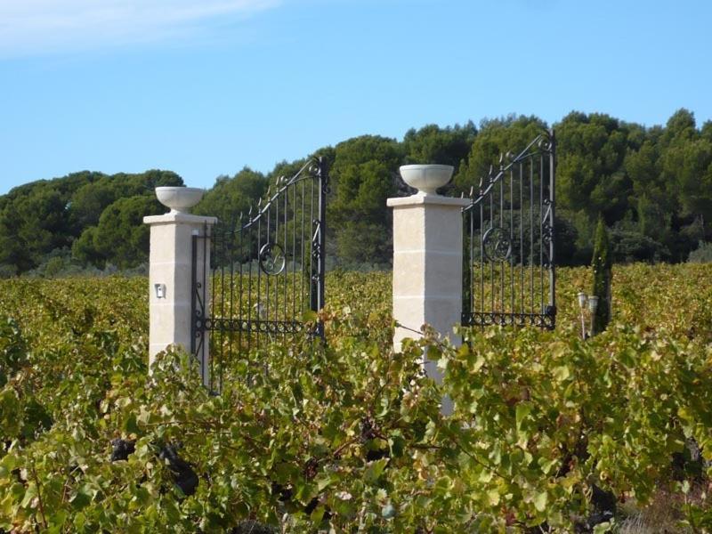 Saint-Jean-de-Fos Chateau De Valloubiere المظهر الخارجي الصورة