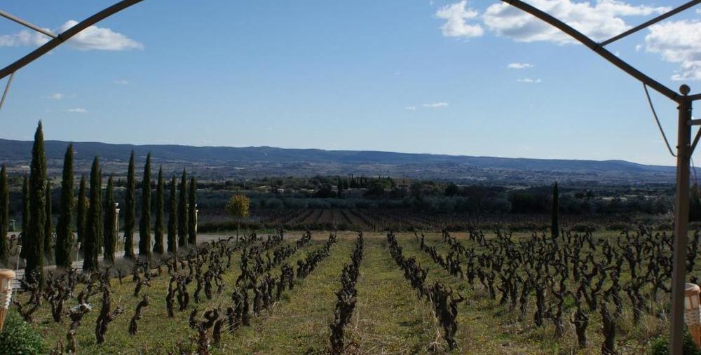 Saint-Jean-de-Fos Chateau De Valloubiere المظهر الخارجي الصورة