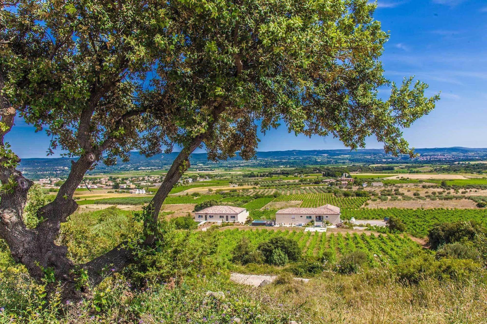 Saint-Jean-de-Fos Chateau De Valloubiere المظهر الخارجي الصورة