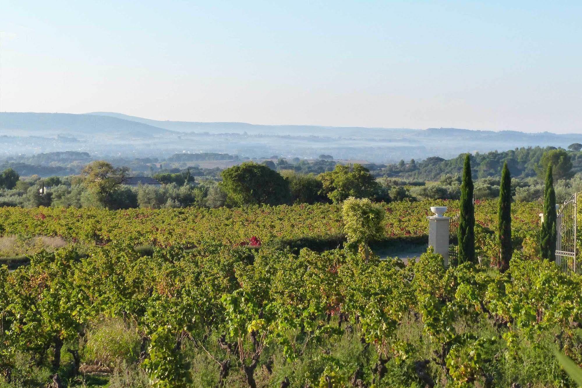 Saint-Jean-de-Fos Chateau De Valloubiere المظهر الخارجي الصورة